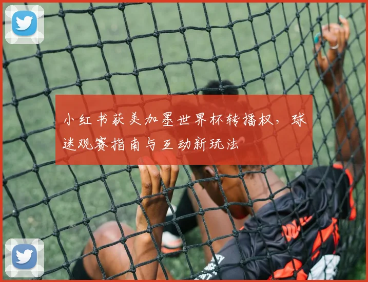 小红书获美加墨世界杯转播权,球迷观赛指南与互动新玩法