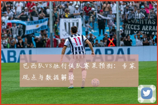 巴西队vs独行侠队赛果预测：专家观点与数据解读