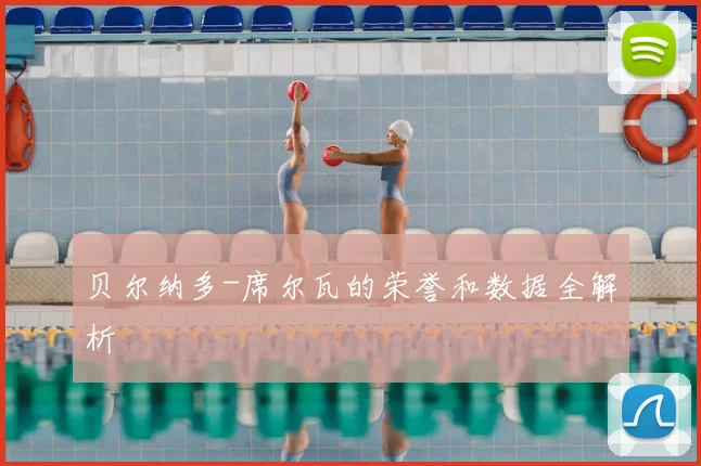 贝尔纳多-席尔瓦的荣誉和数据全解析